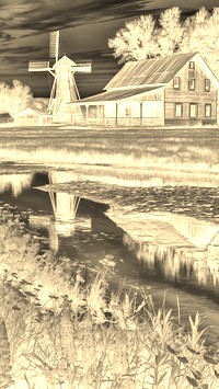 Sepia + Negatyw