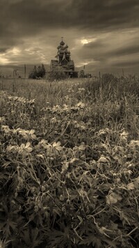 Szary + Sepia