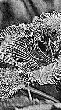 Skamielina