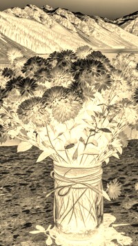 Sepia + Negatyw