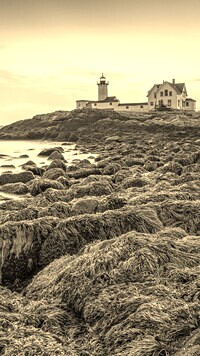 Szary + Sepia