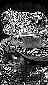 Skamielina
