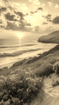 Sepia