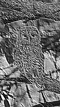 Skamielina