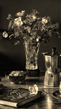 Szary + Sepia