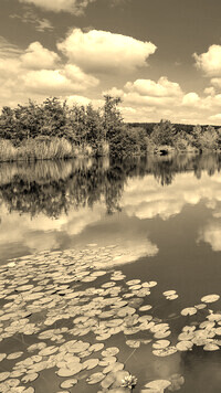 Sepia