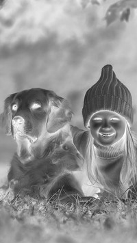 Szary + Negatyw