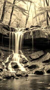 Sepia