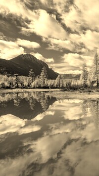 Szary + Sepia