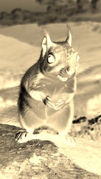 Sepia + Negatyw