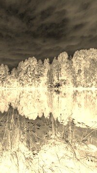Sepia + Negatyw