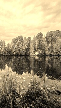 Sepia