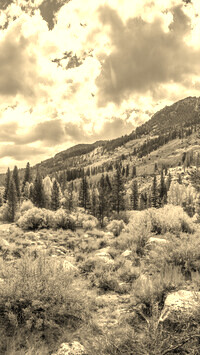 Szary + Sepia