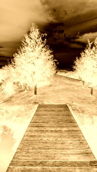 Sepia + Negatyw