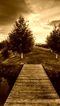 Sepia