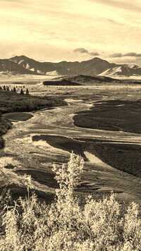 Sepia