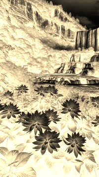 Sepia + Negatyw