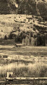 Szary + Sepia