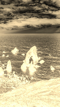 Sepia + Negatyw