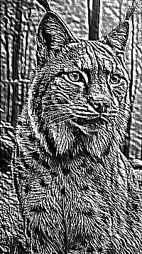 Skamielina