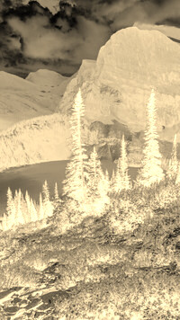 Sepia + Negatyw