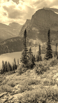 Sepia