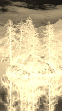 Sepia + Negatyw