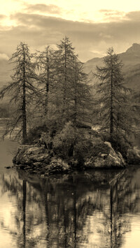 Sepia