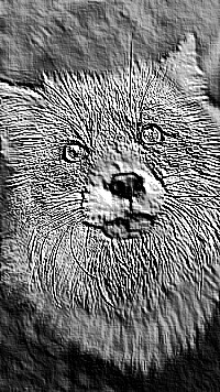 Skamielina