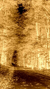 Sepia + Negatyw