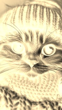 Sepia + Negatyw