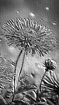 Skamielina