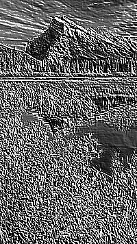Skamielina