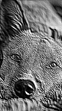 Skamielina