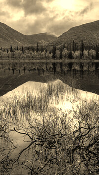 Szary + Sepia