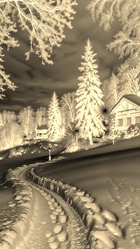 Sepia + Negatyw