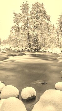 Szary + Sepia