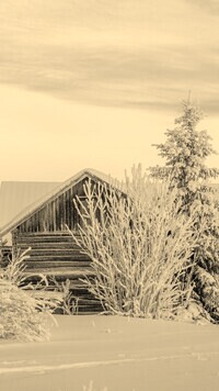 Szary + Sepia