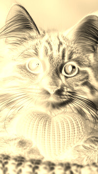 Sepia + Negatyw
