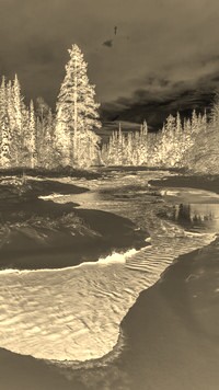Sepia + Negatyw