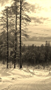Sepia