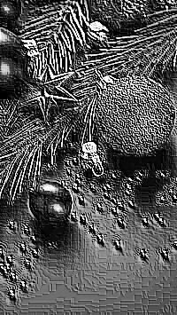 Skamielina