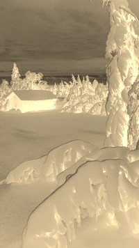 Sepia + Negatyw