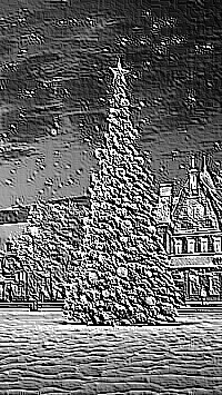Skamielina