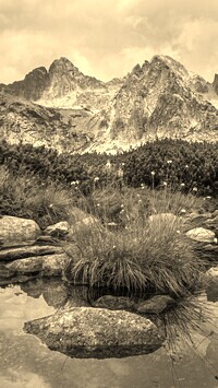 Sepia