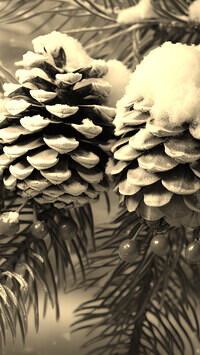Szary + Sepia