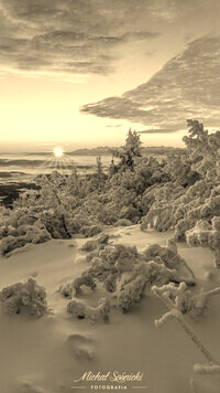 Szary + Sepia