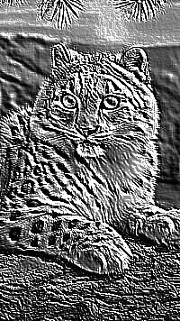 Skamielina