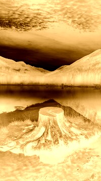 Sepia + Negatyw