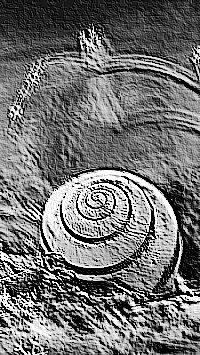 Skamielina
